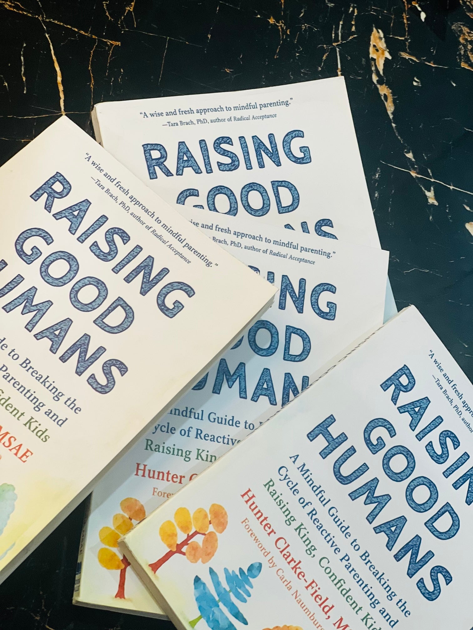 Raising Good Humans Book