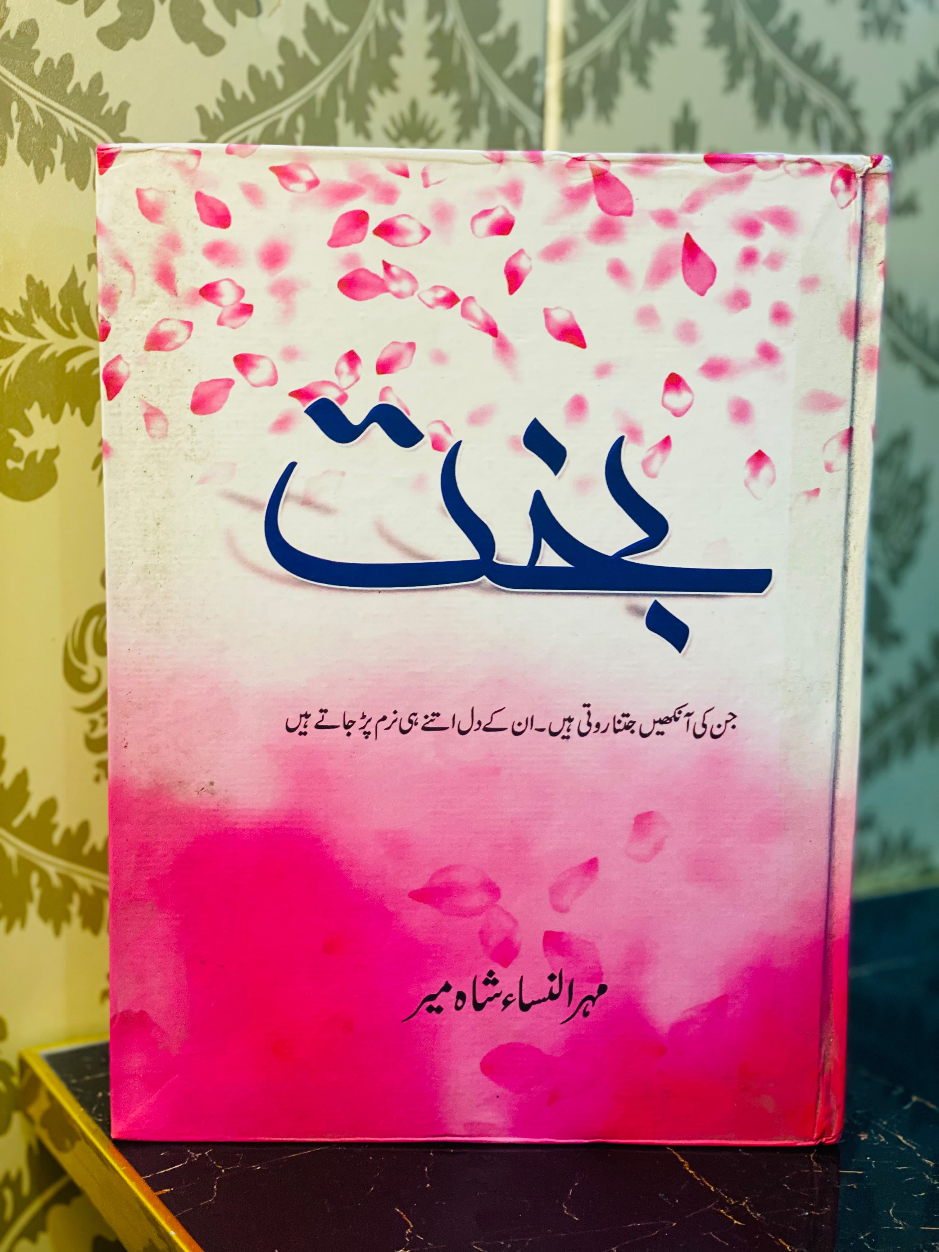 Bakht — Mehrulnisa Shahmeer